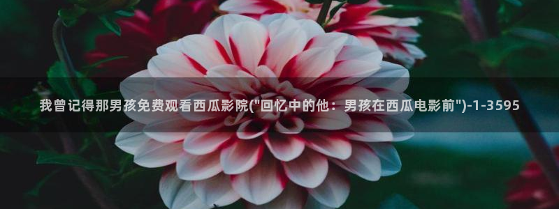 大香蕉西瓜影院